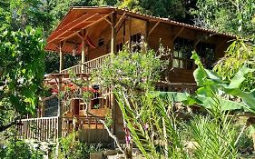 Panchigua Hostel